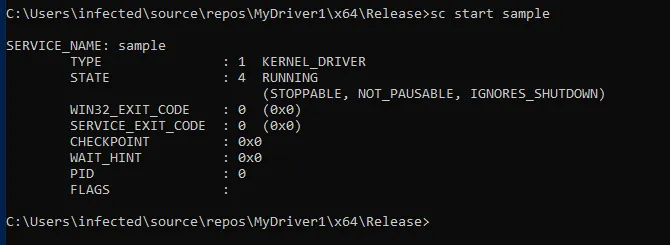 Service successfully started