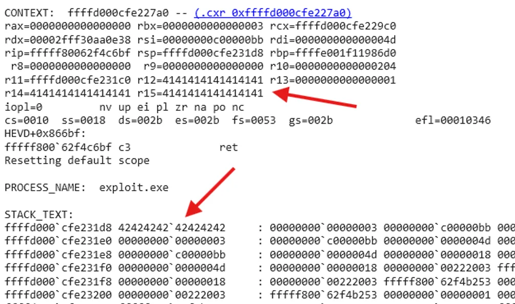 WinDbg Output